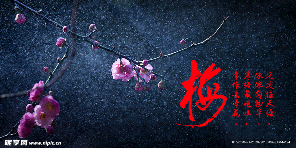 帶梅字優(yōu)雅網(wǎng)名最新風(fēng)尚